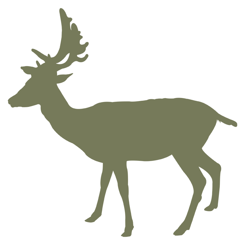 Broadway-Tower-Cotswolds-homepage-800×800-cta-image-deer